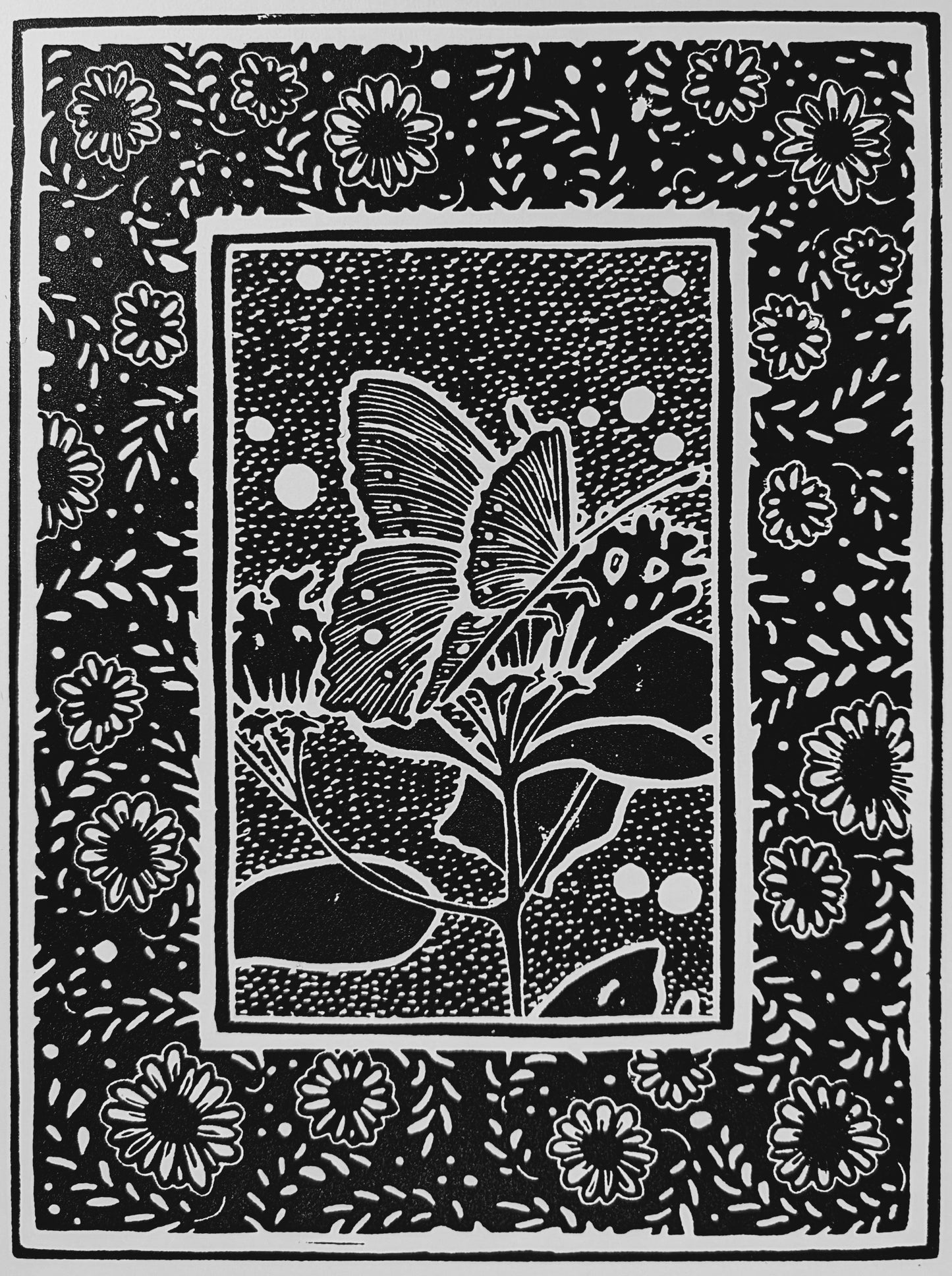 Swallowtail