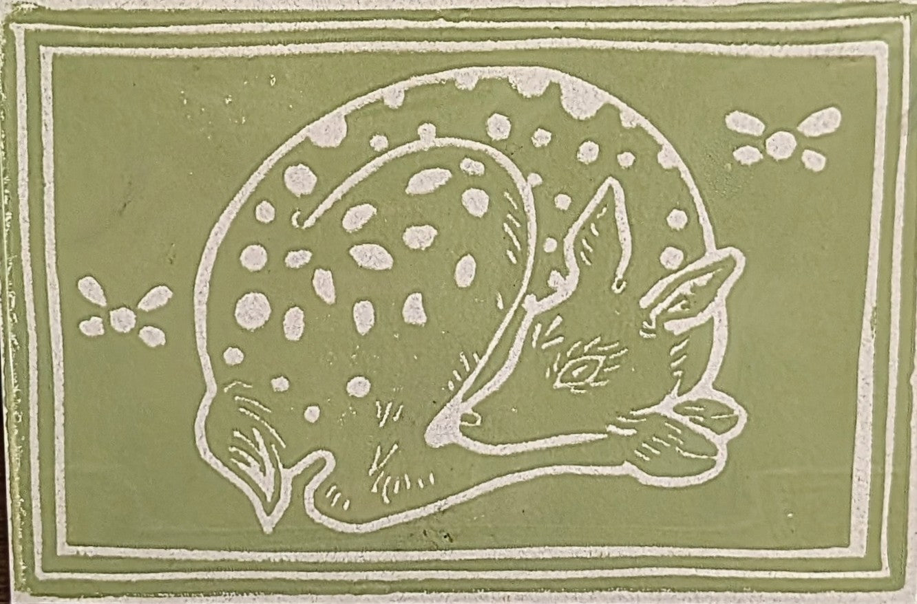 Resting Fawn
