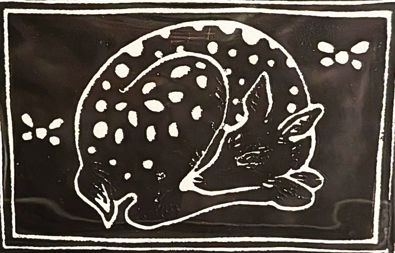 Resting Fawn